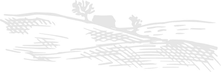 The Cabrach Trust