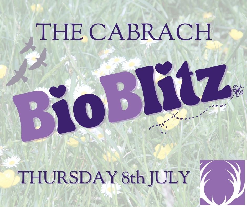 Bioblitz