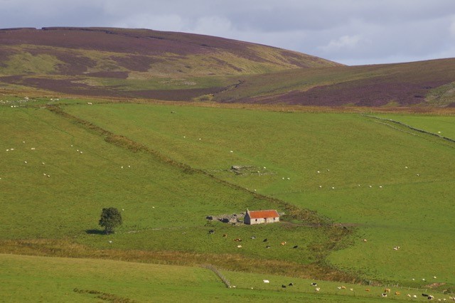 Bowmans Images