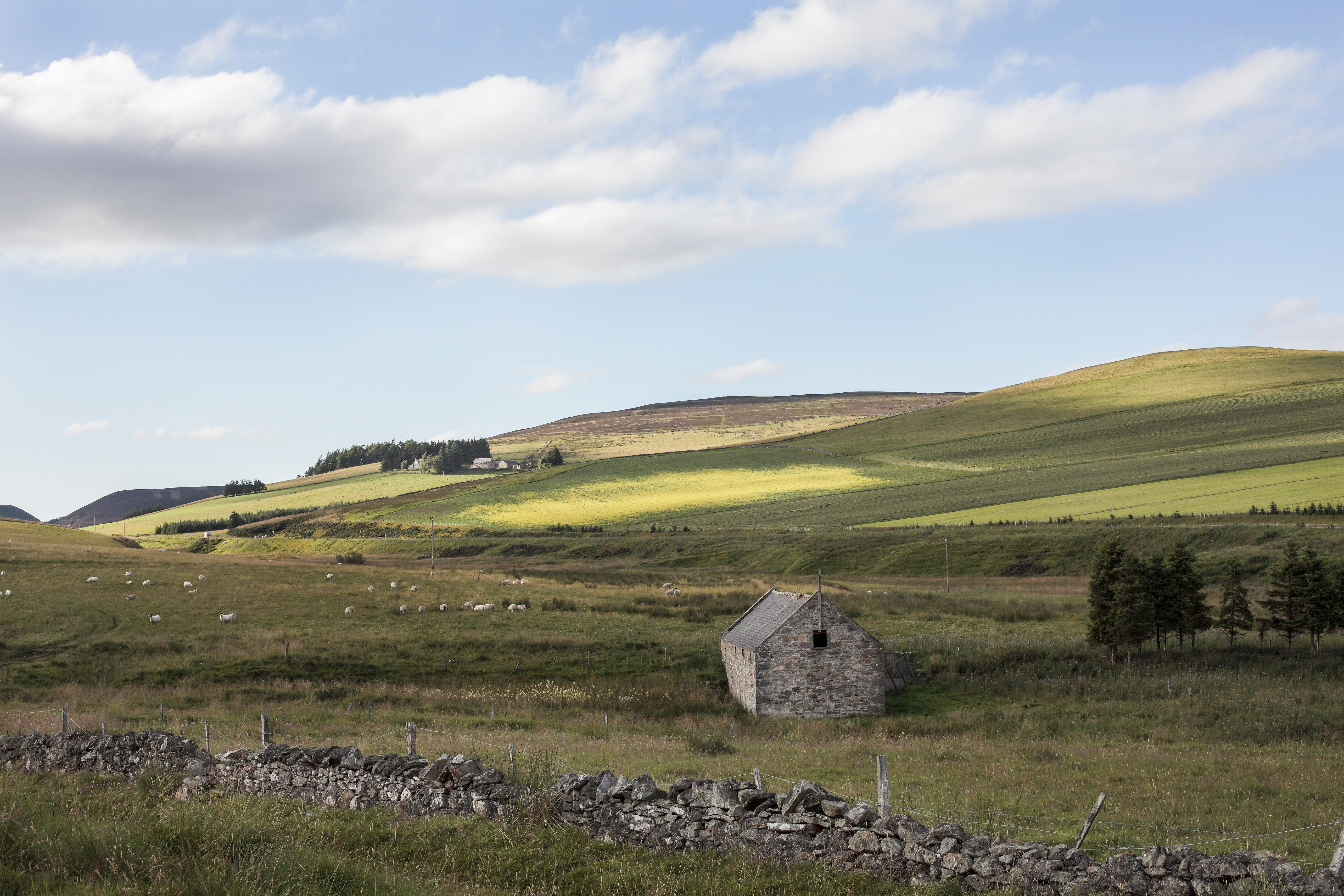 Meriol Rattray Images