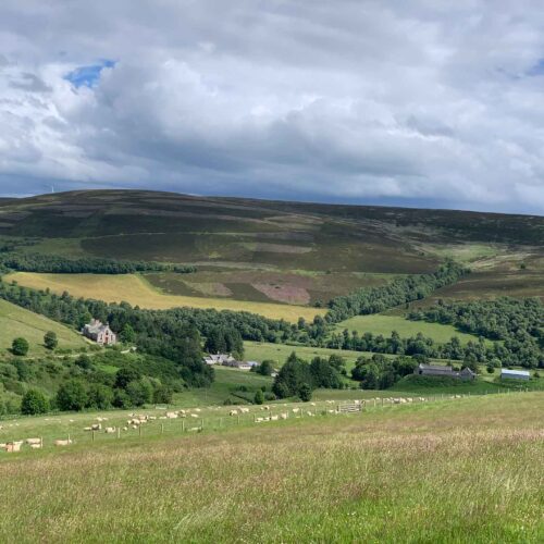 Cabrach Landscape