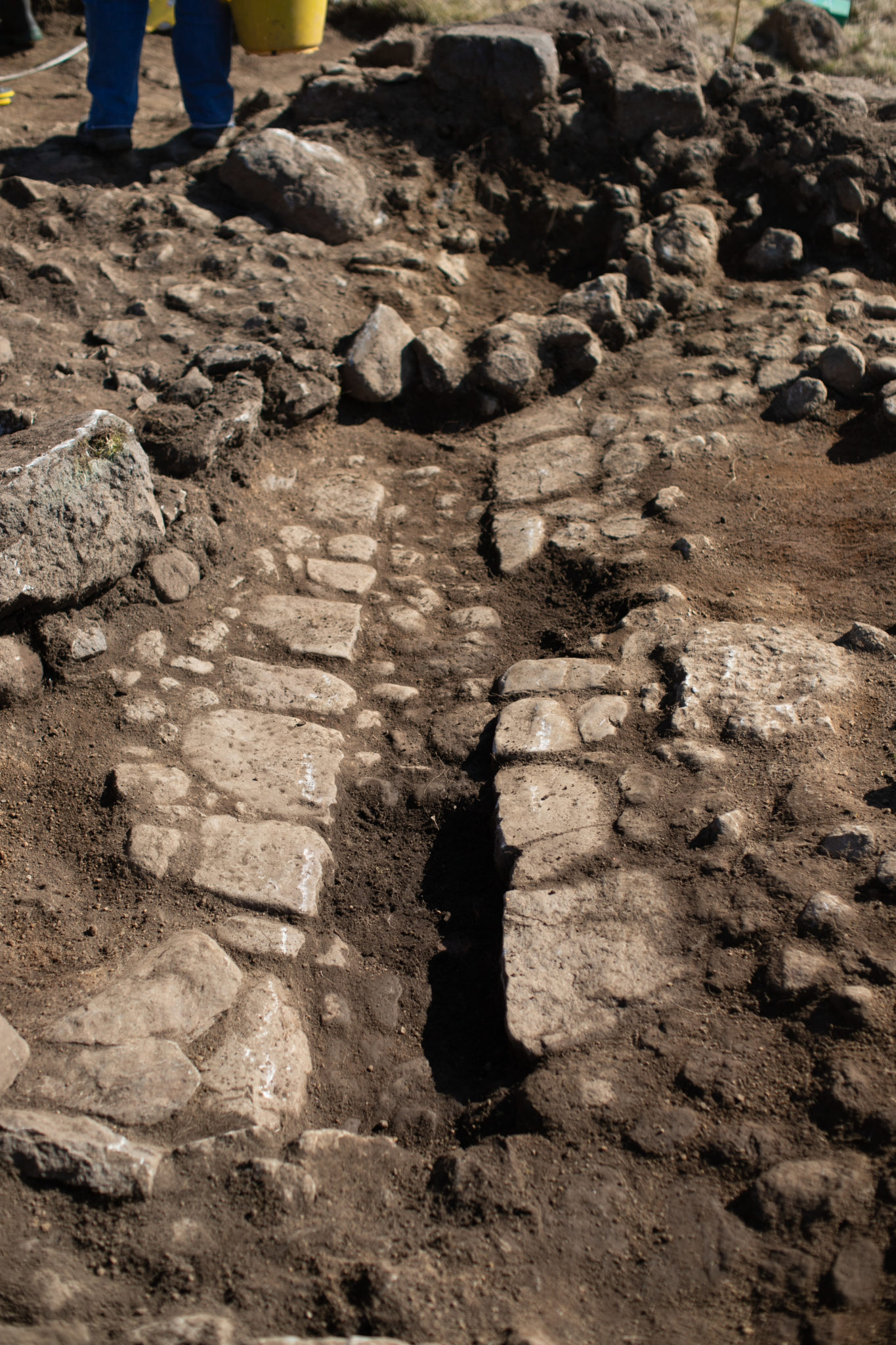 Blackmiddens