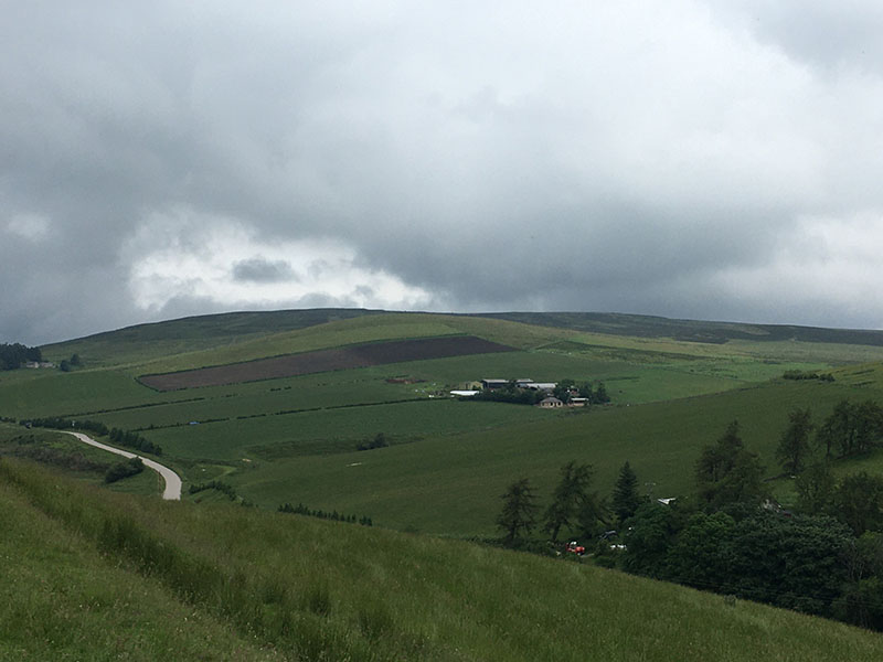 Images of the Meriol Rattray