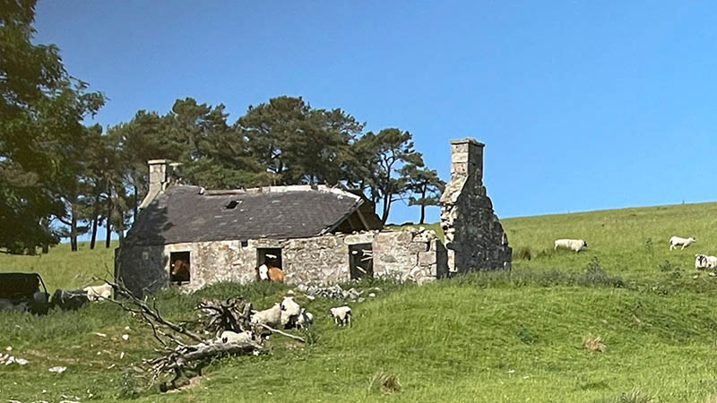 Badchear