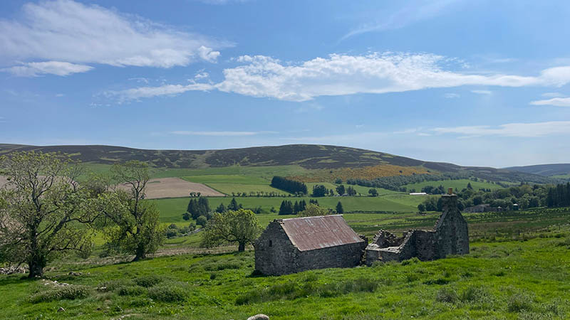 Ian Mackintosh Images