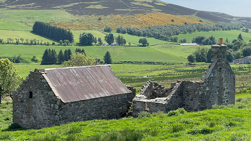 Boghead