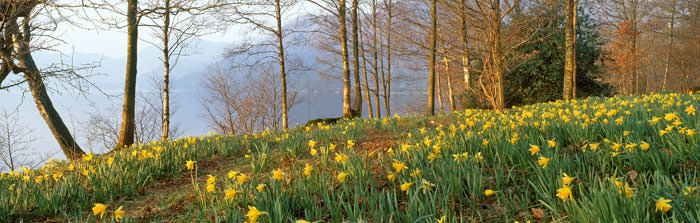 Spring Guided Walk