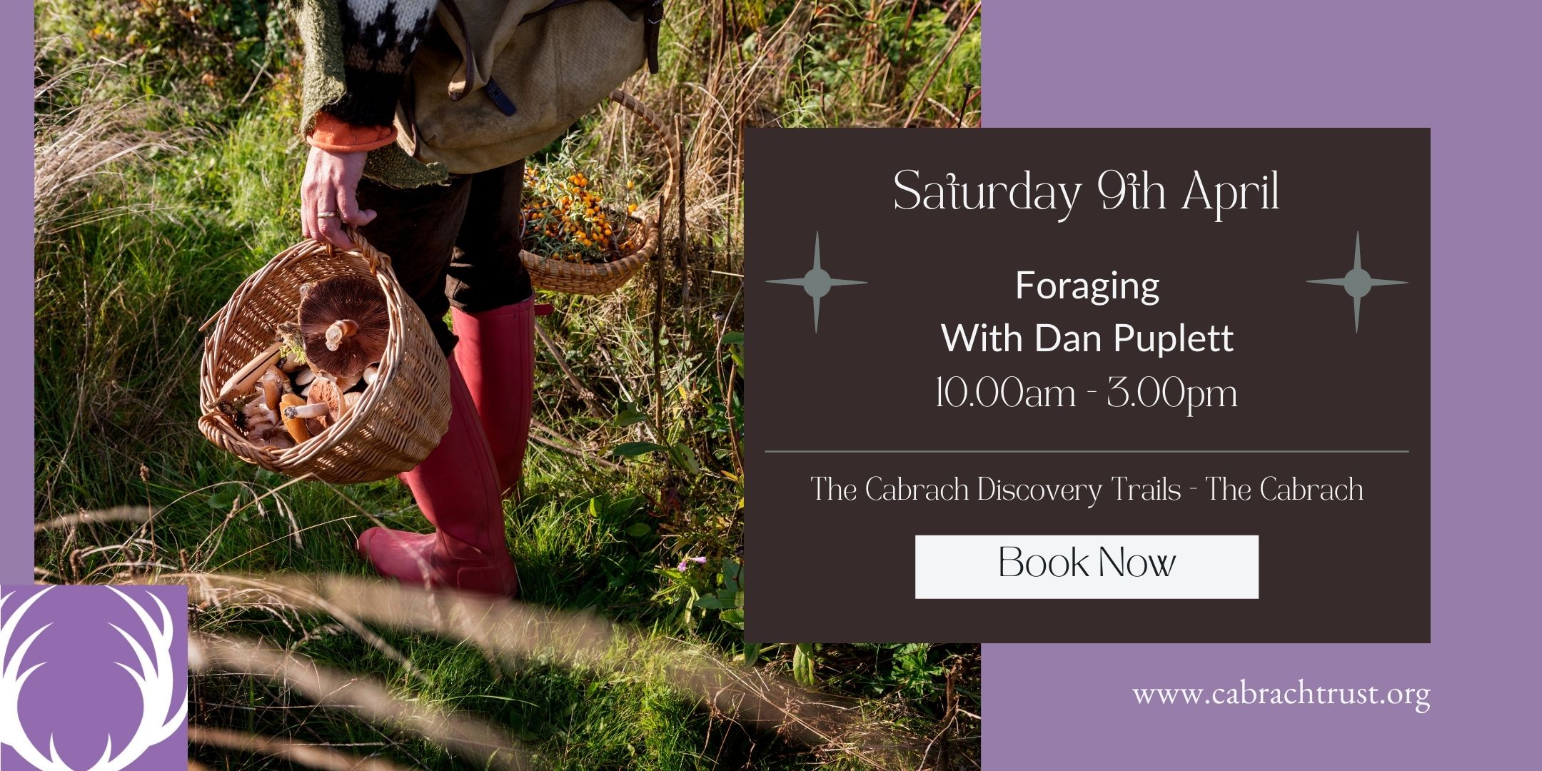 Foraging with Dan Puplett