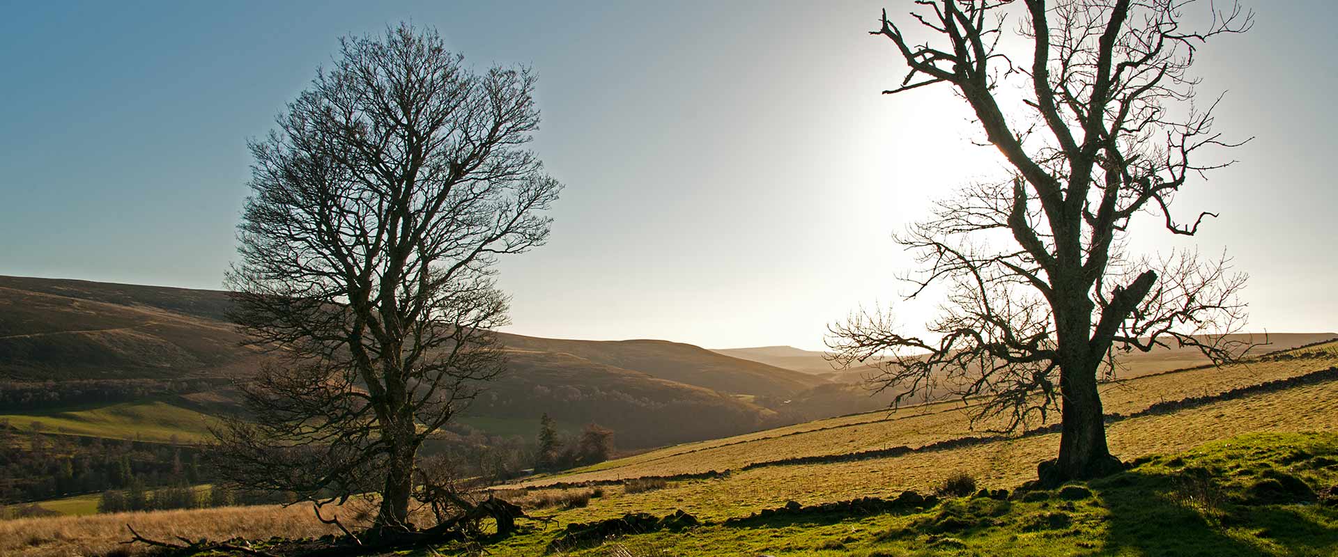 Cabrach Calendar Photography competition
